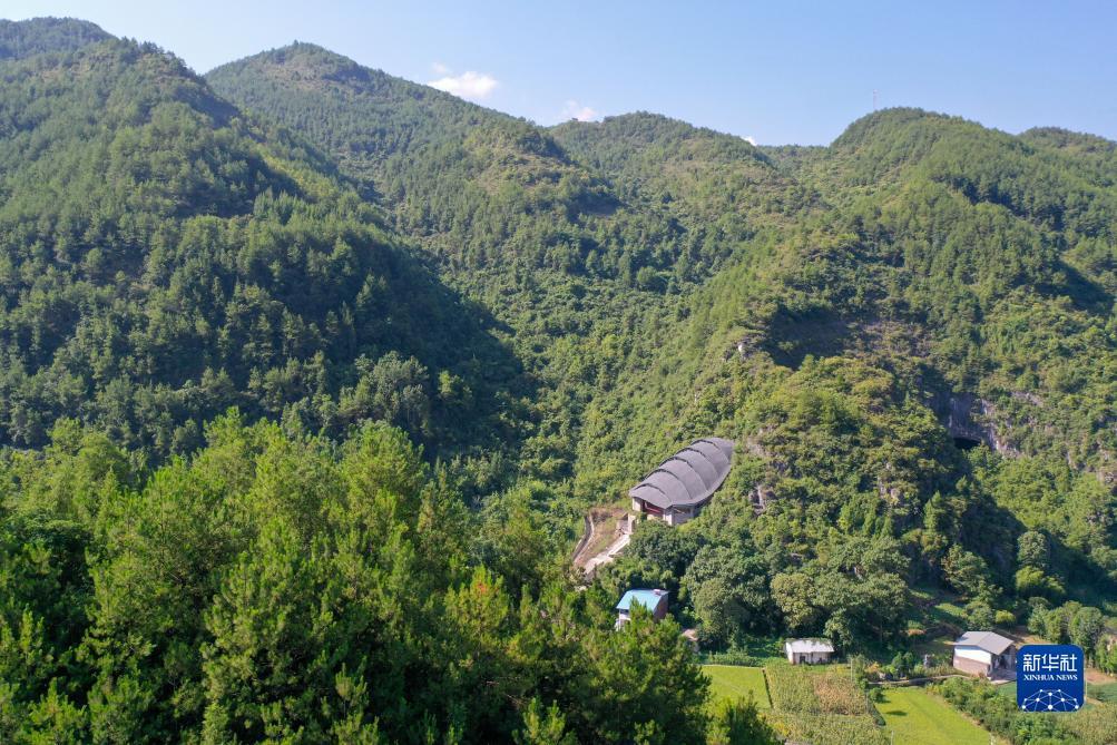 真人ag刷反水方法